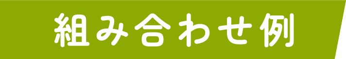 オーダーメイドコース例