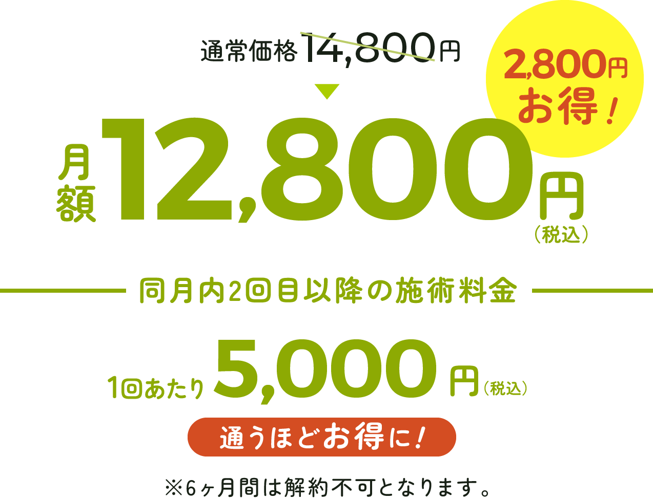 月額12,800円〜